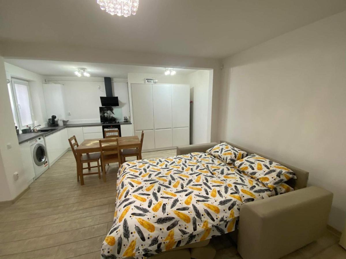 The Best Apartament Central Vajdahunyad Kültér fotó